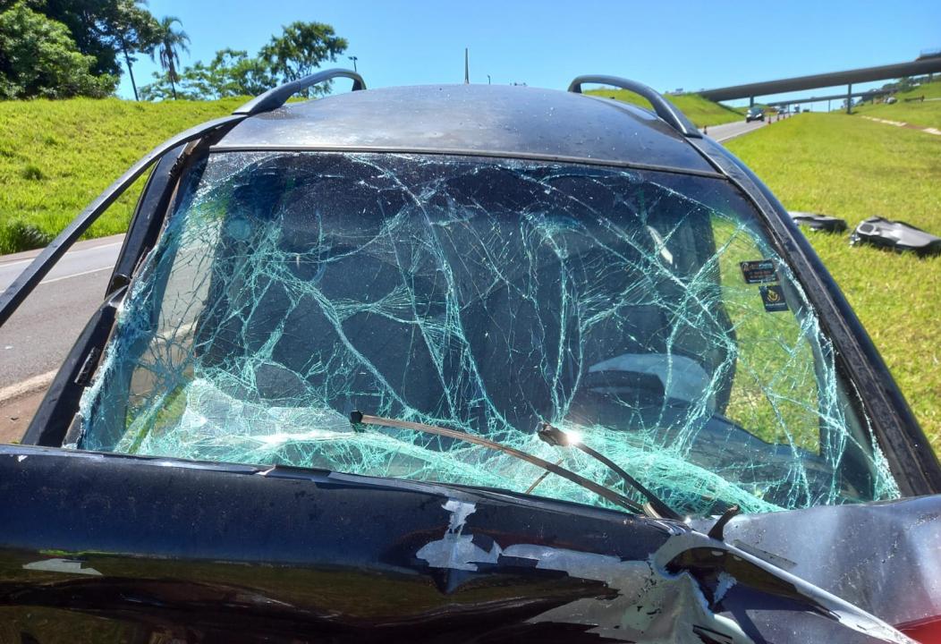 Foto 10 de 12 — Idoso morre após grave acidente na Rodovia Washington Luís (SP-310) em Araraquara